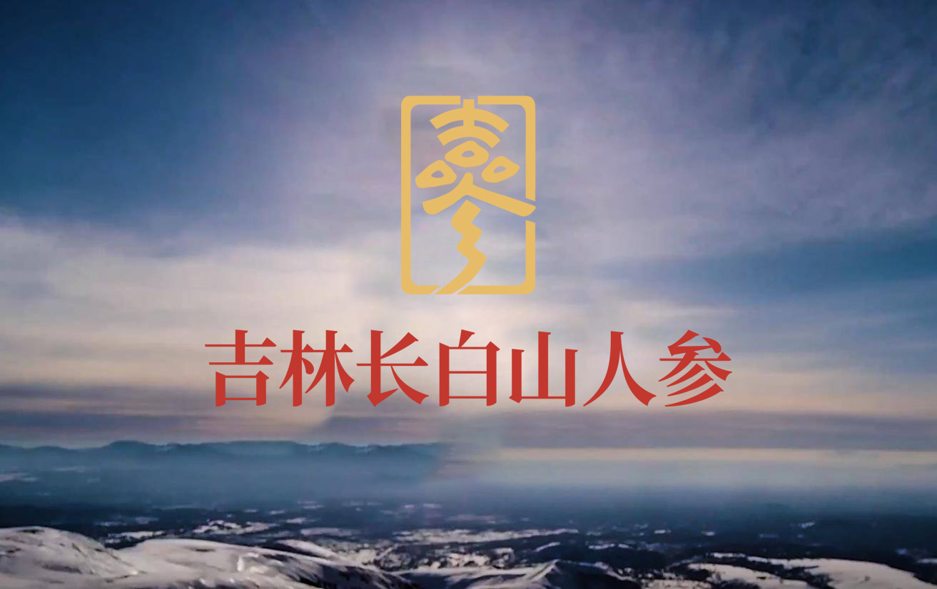 微信图片_20241224103532.jpg